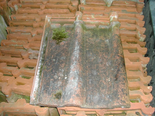 bensreckyard ebay photo Clay john major double roman roof tile 2